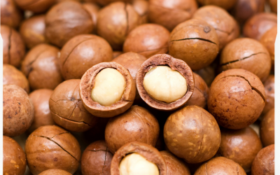 Macadamia Nuts Drying Technique