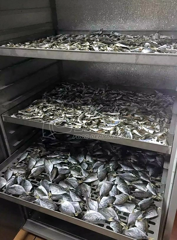 Drying fish on a dehydrator Drying fish on a dehydrator