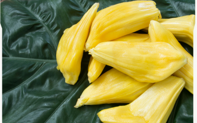 Jackfruit Drying Machine