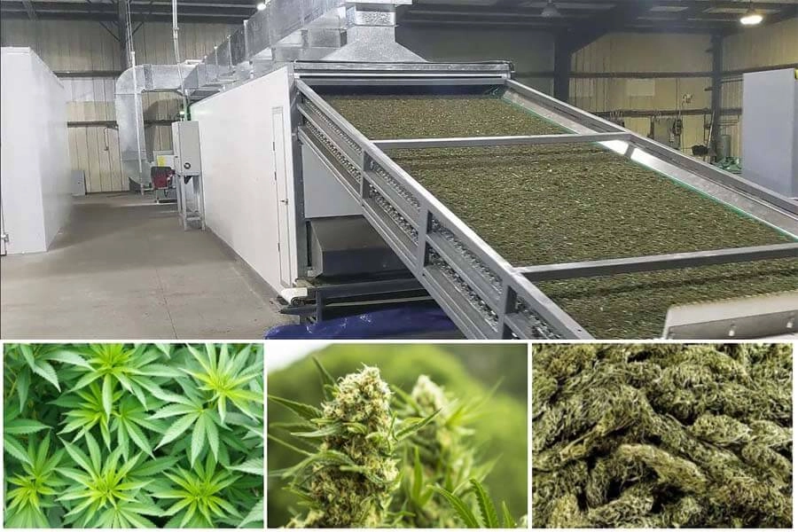 belt-hemp-drying-machine