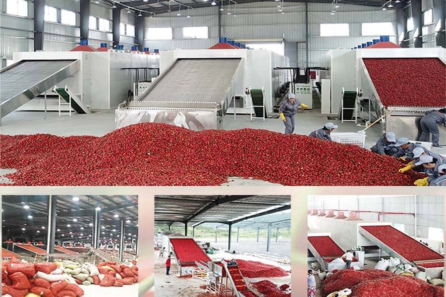 Chili Drying Machine