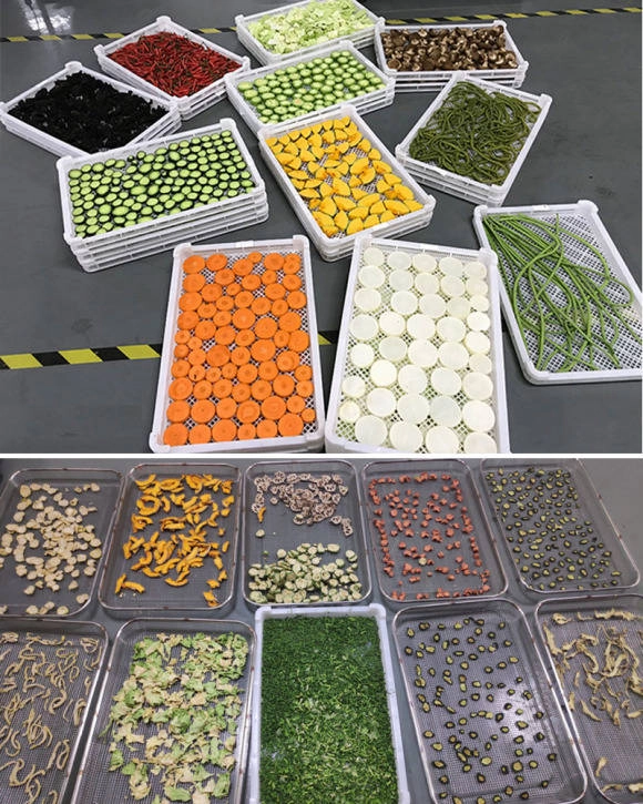chinese raw materials for medicine herbs prepare to be entered to the Medicine Drying Machine