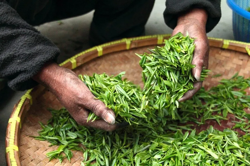 use leaf dryin machine instead of traditional air drying