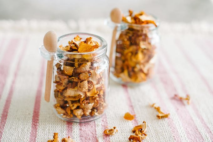 chanterelle mushroom drying machine