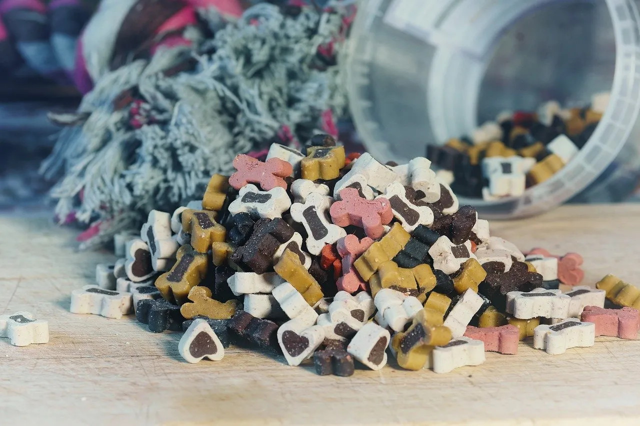 traditional wolfberry dryin air drying