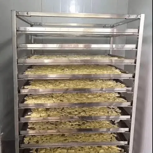 paper tray drying