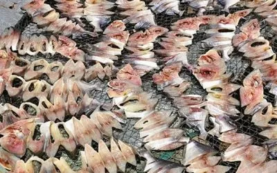 Heat Pump Dryer Fish Dryer or Fish Drying Machine