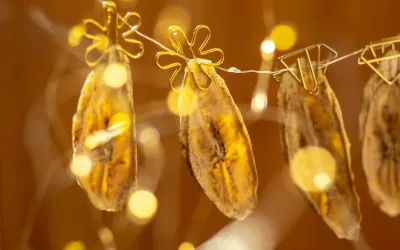 Unraveling The Nutritional Benefits of a Dried Banana