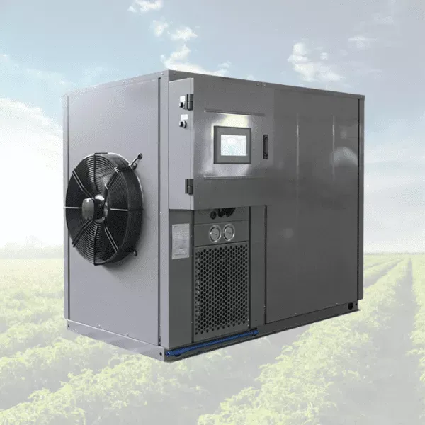 Comprehensive Guide To Heat Pump Food Dehydrator Machines
