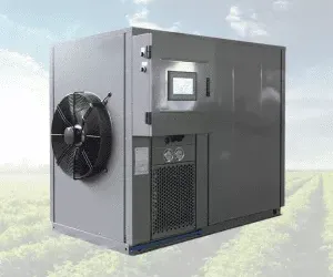 Conveyor Belt For Drying- What Are Its Applications?