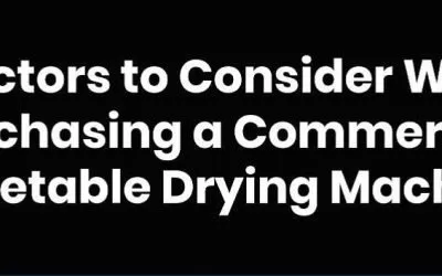 7 Factors to Consider When Purchasing a Commercial Vegetable Drying Machine