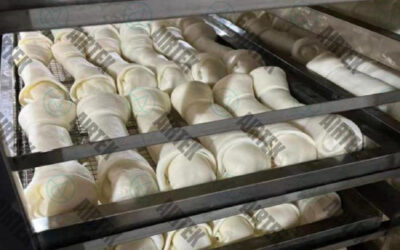 Pet Food Dryer: Ensuring Safety and Extended Shelf Life