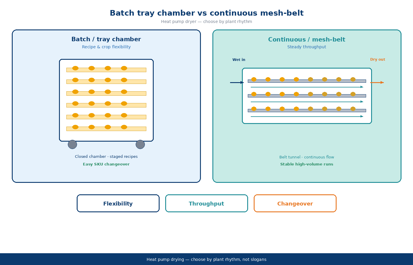 Batch tray chamber vs continuous mesh-belt heat pump dryer comparison