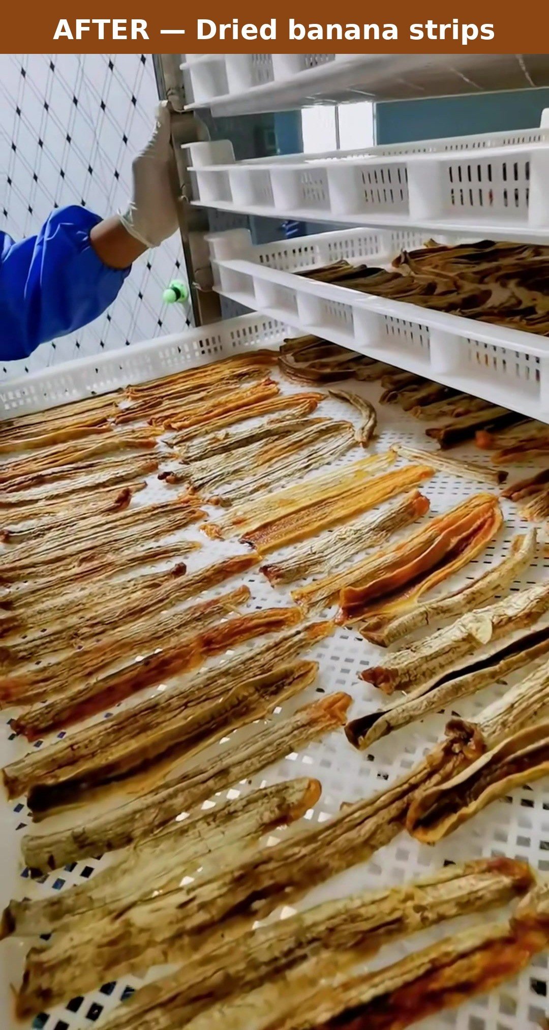 Dehydrated banana chips color quality example