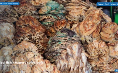 Export-Grade Dried Fish: Retain Color & Flavor with Heat-Pump Soft Control