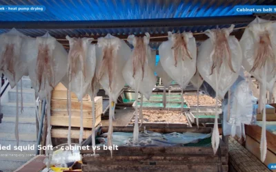 Dried Squid Rings & Sheets: Cabinet vs Belt Heat-Pump Soft Guide