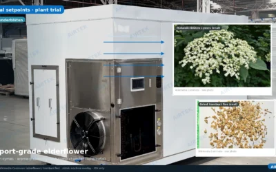 Export-Grade Elderflower (Holunderblüten): Aroma-Preserving Heat Pump Drying