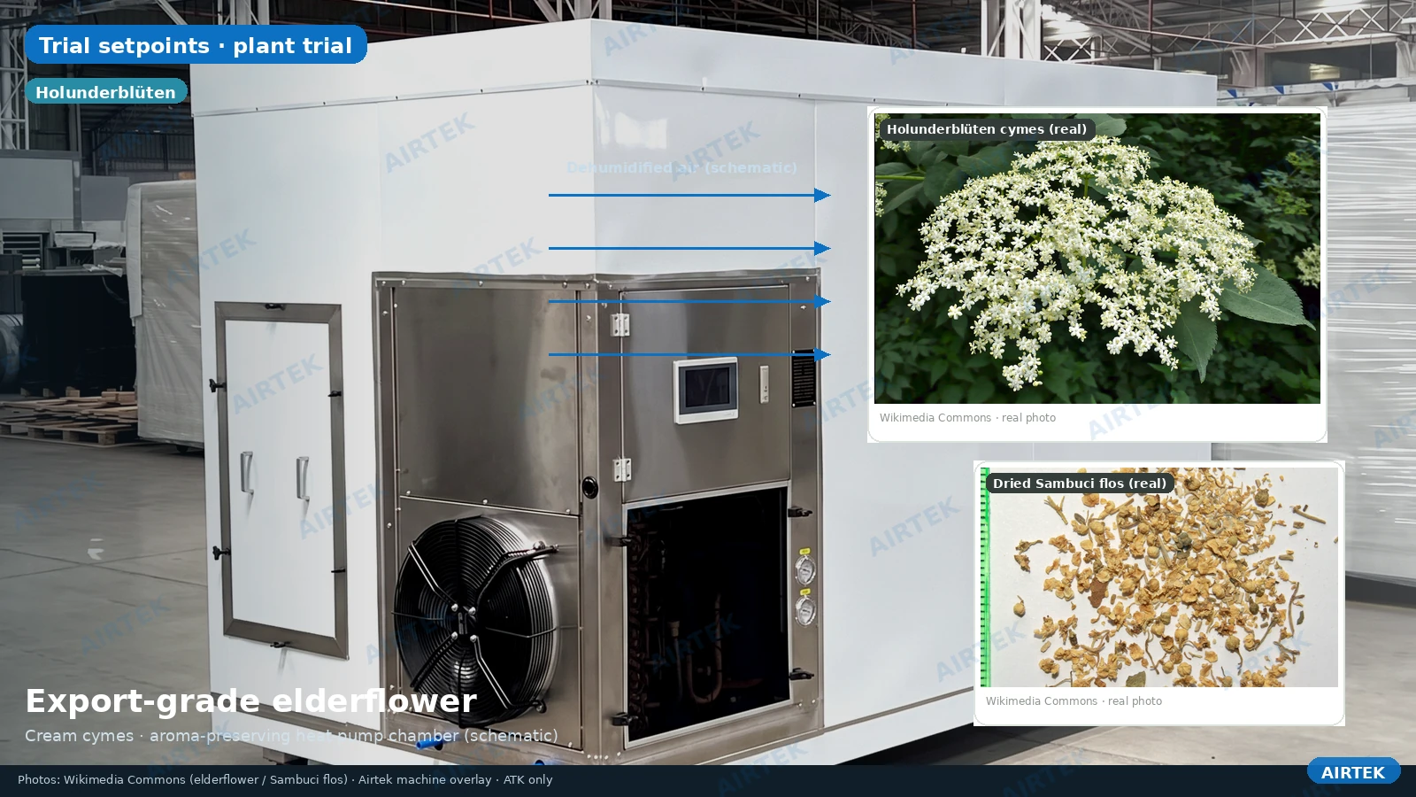 Elderflower Holunderblüten heat pump dryer chamber aroma-preserving schematic