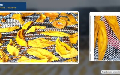 Commercial Mango Heat Pump Drying: Process Guide for Chips and Export Slices