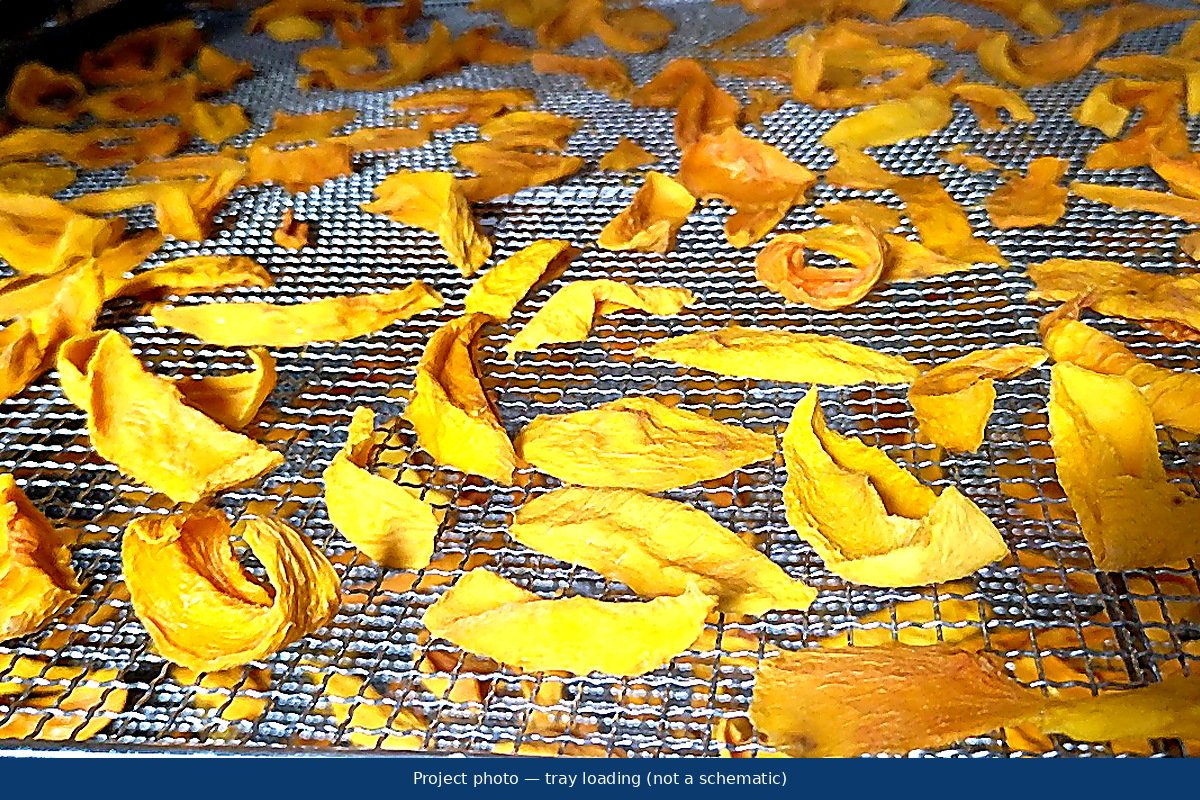 Mango tray loading photo for heat pump dryer
