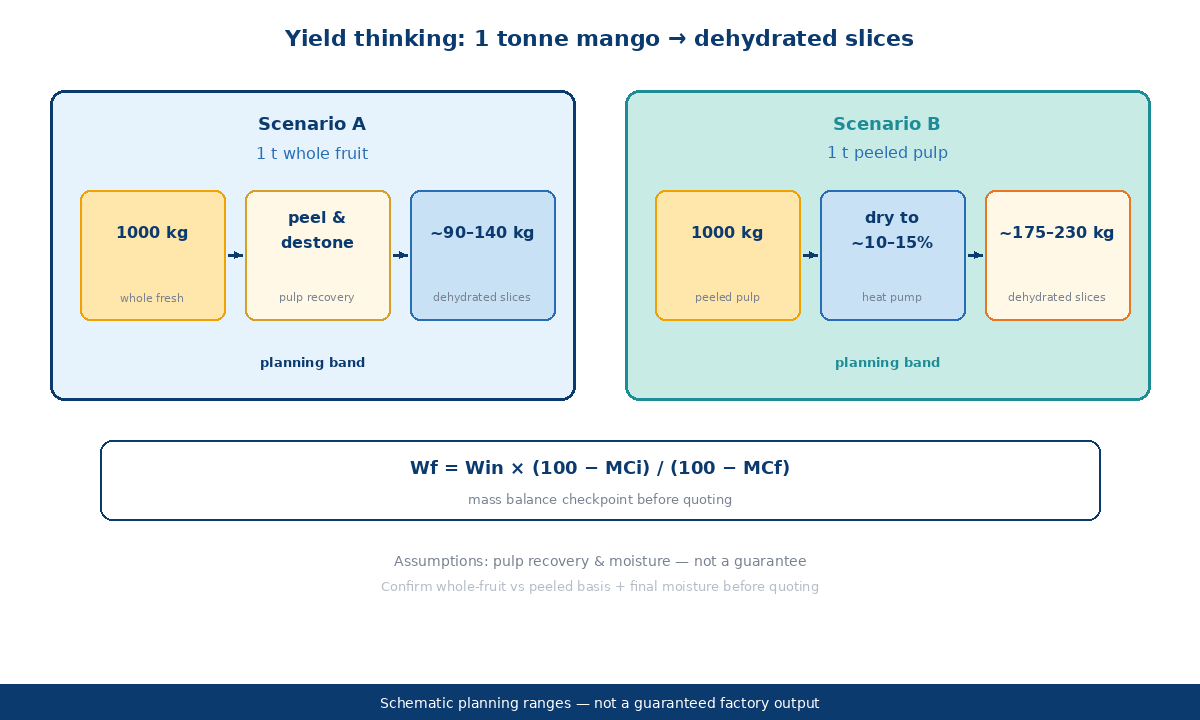 Yield illustration one tonne fresh mango to dehydrated slices range