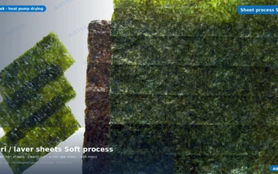 Nori & Laver Sheets: Heat-Pump Drying Soft Process Guide