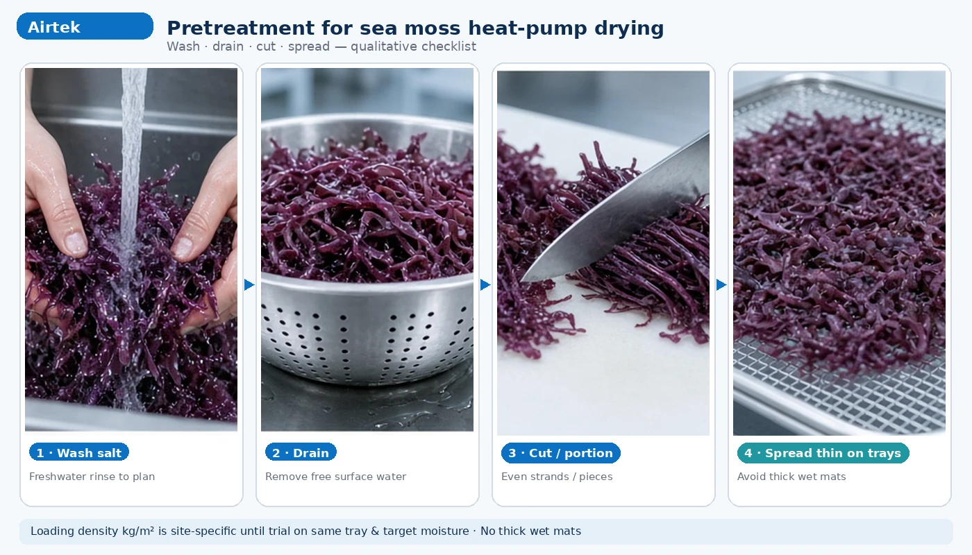 Wash drain cut spread trays for sea moss pretreatment