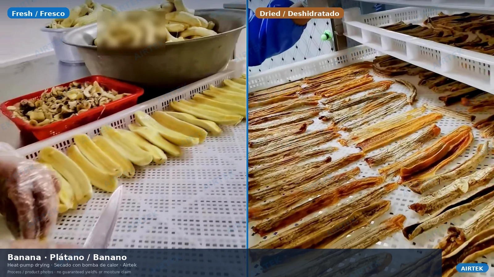 Rodajas de plátano frescas junto a secas de un proceso Airtek