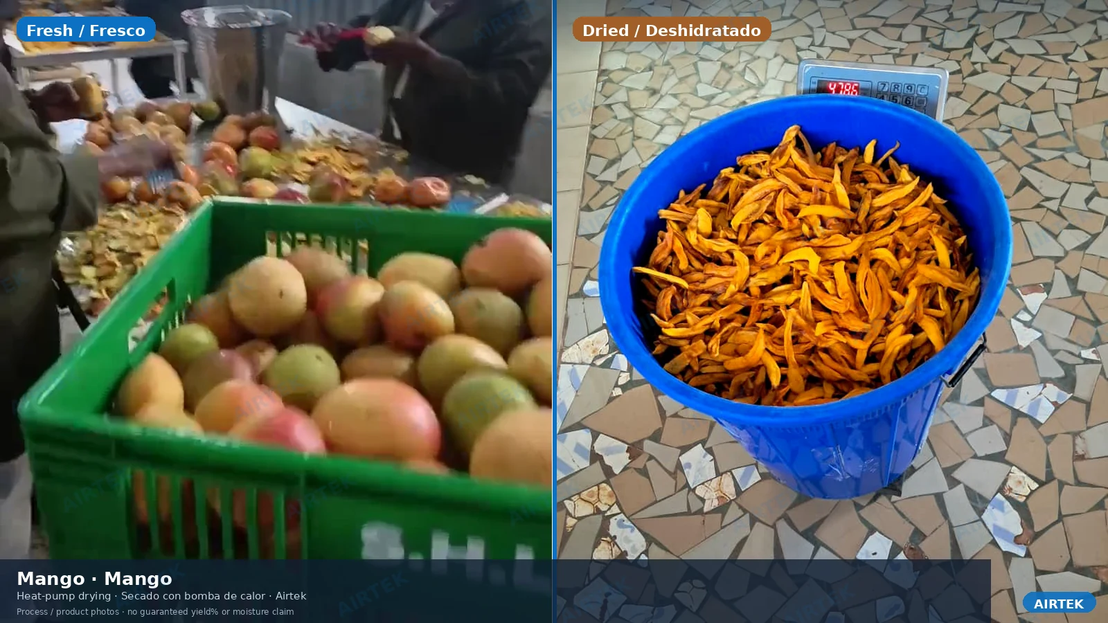 Rodajas de mango frescas y deshidratadas, comparación de retención de color