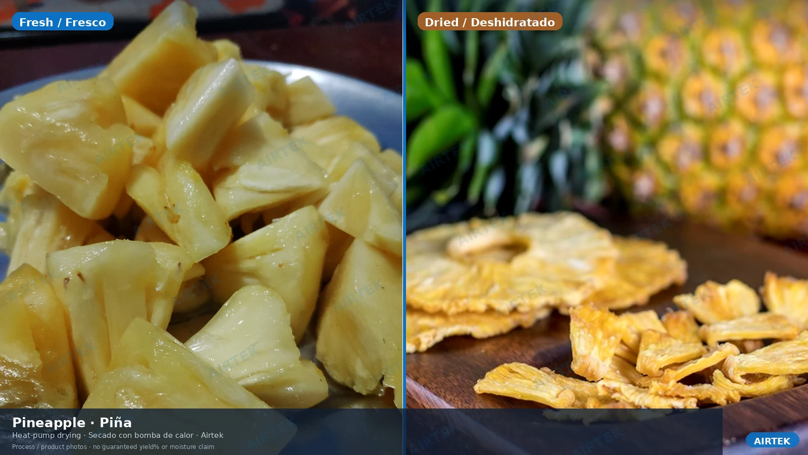 Trozos de piña frescos junto a deshidratados para comparación